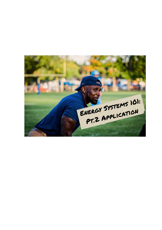Energy Systems: Pt. 2 Application
