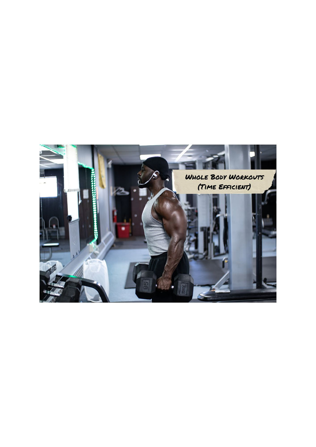 Whole Body Workouts